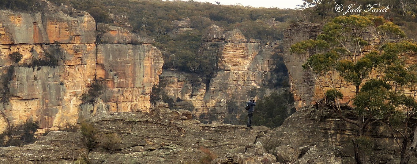 Above Wolgan Falls GoS SCA