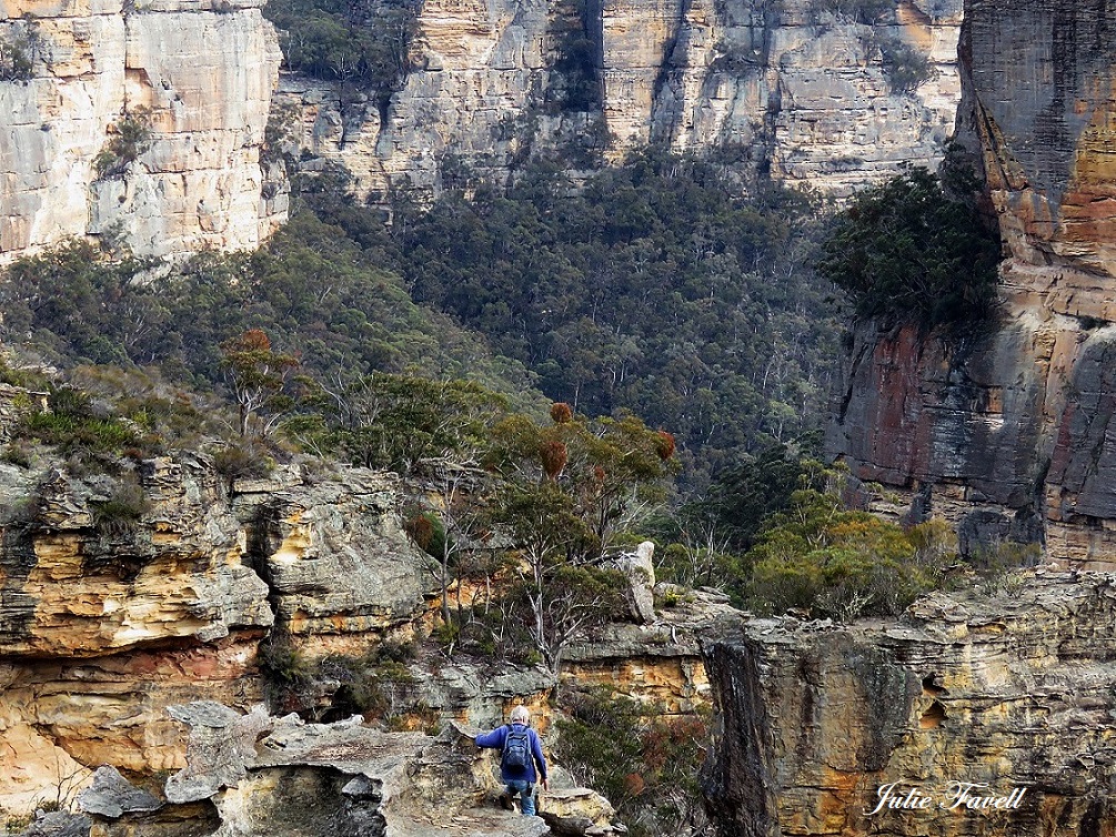 Above Wolgan Falls GoS SCA