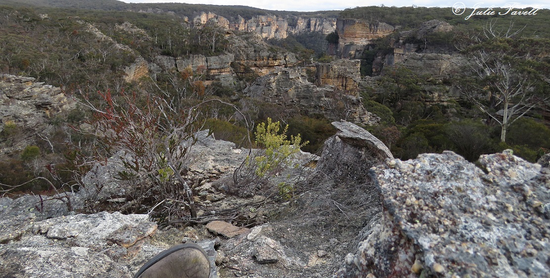 Above Wolgan Falls GoS SCA