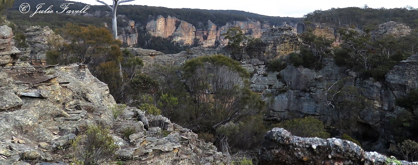 Above Wolgan Falls GoS SCA