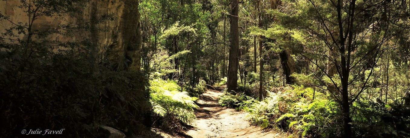 Baal Bone Gap track decent