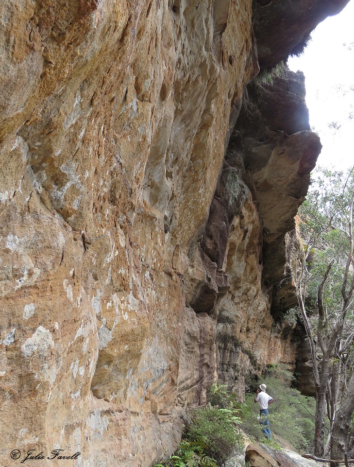 Below Invincible Trail western GoS SCA  aka BBSFCullen Bullen