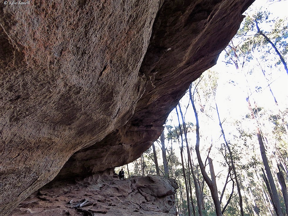 Below Invincible Trail western GoS SCA Cullen Bullen