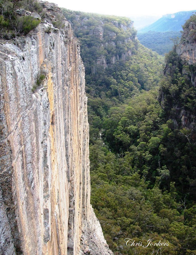 Birds Rock GoS SCA aka BBSF 1-6-10 029