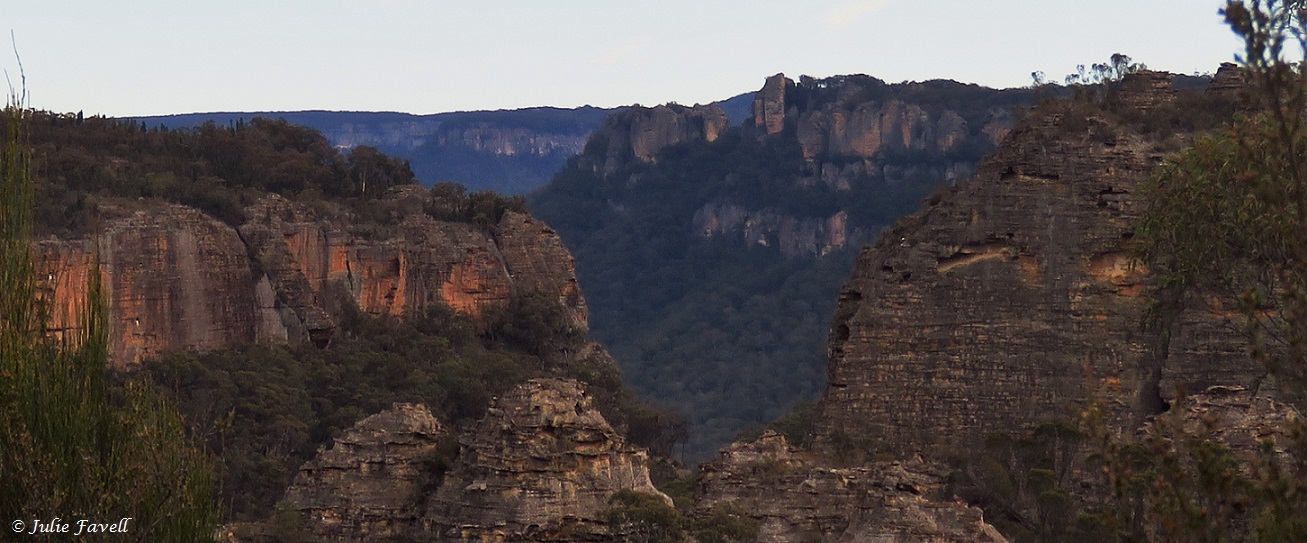 Coach Track Wollemi NP