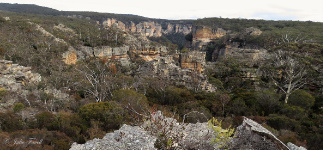 Above Wolgan Falls GoS SCA