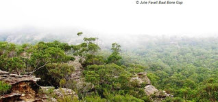 Baal Bone gap GoS SCA aka BBSF