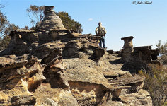 Baal Bone Trail Gos SCA aka BBSF