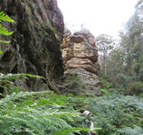 Below Invincible Trail western GoS SCA Cullen Bullen