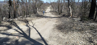 Bi Centennial Trail escarpment GoS SCA aka BBSF  afer 2019 2020 fire