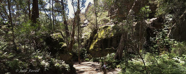 BicentennialTrail GoS SCA2018 AKA BBSF