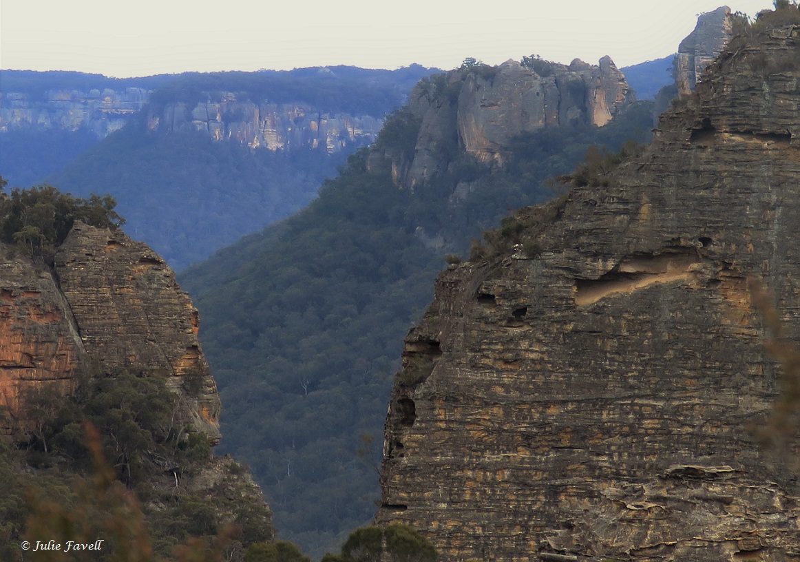 Coach Track Wollemi NP