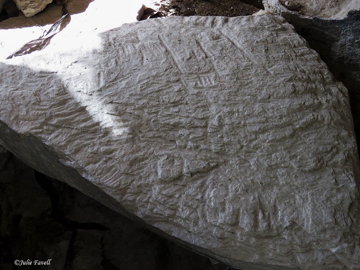 Teeth marks in calcite rock