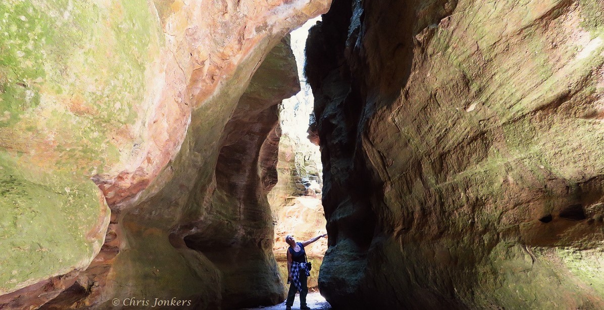 Dry Canyon Wollemi NP
