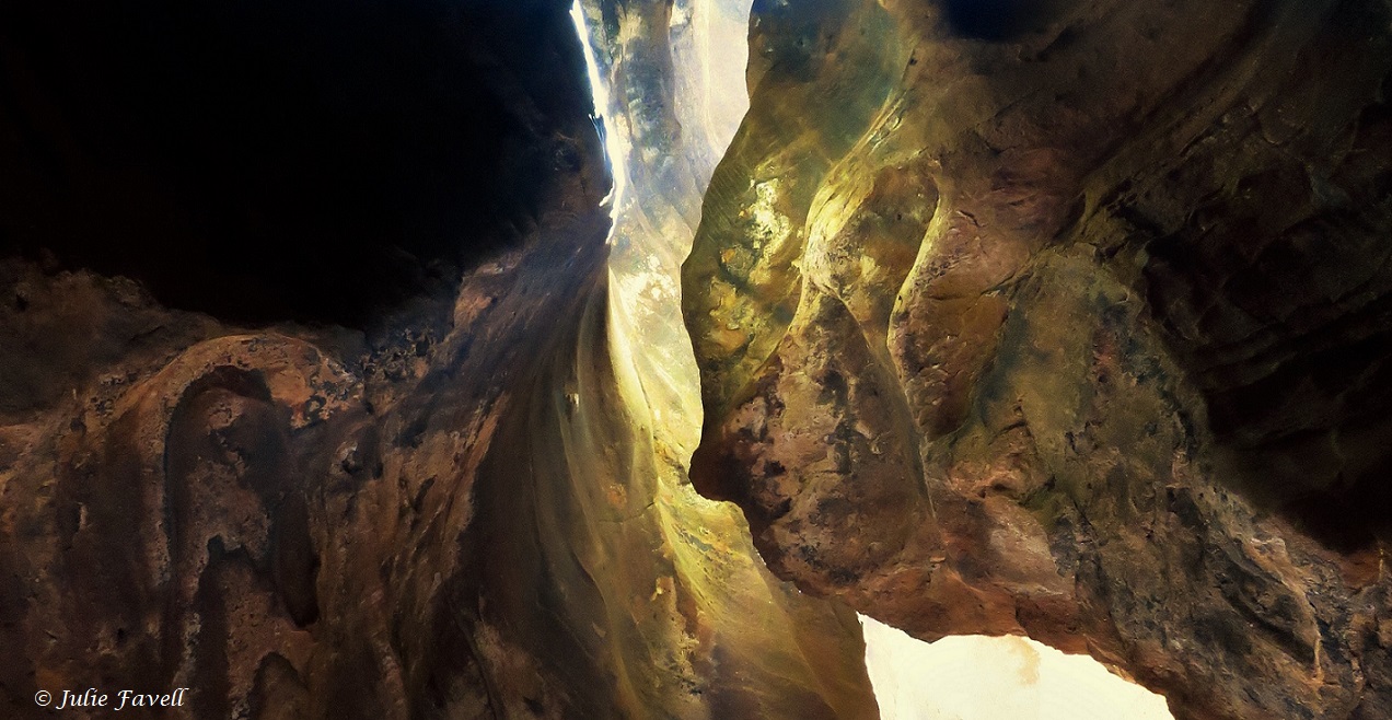 Dry Canyon Wollemi NP