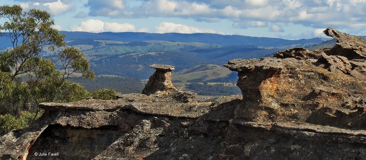GoS SCA  aka Ben Bullen SF western edge above Cullen Valley open cut mine