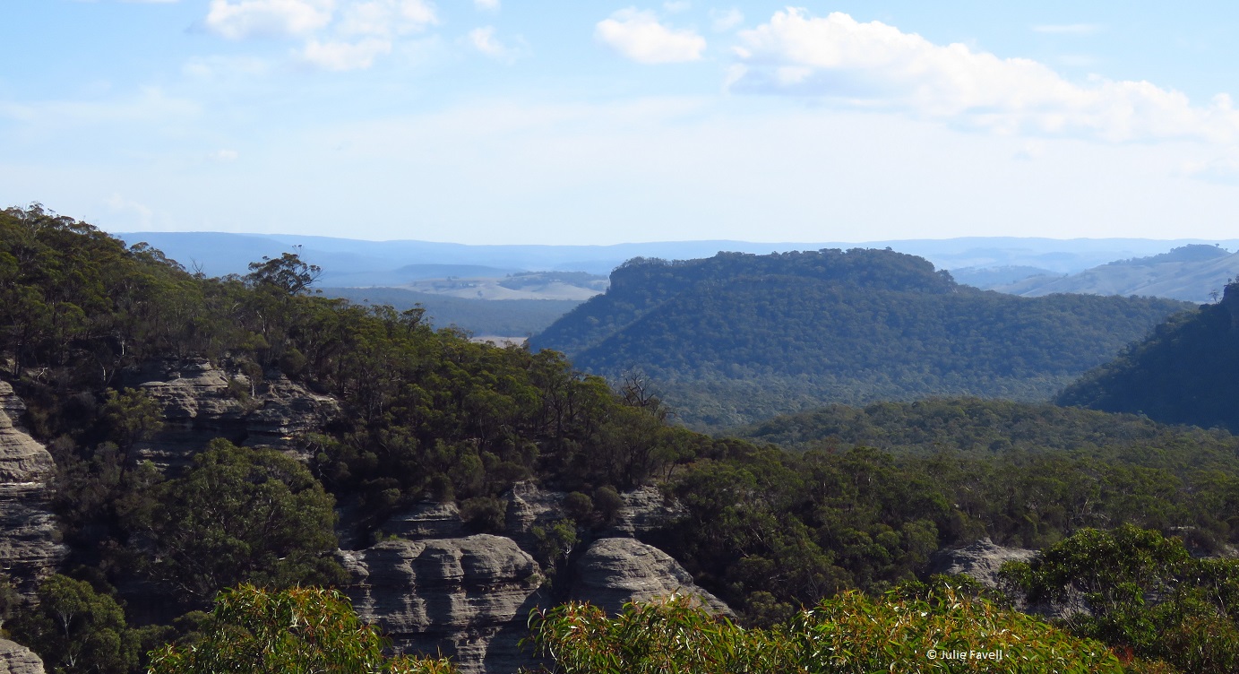  GoS SCA aka Wolgan SF