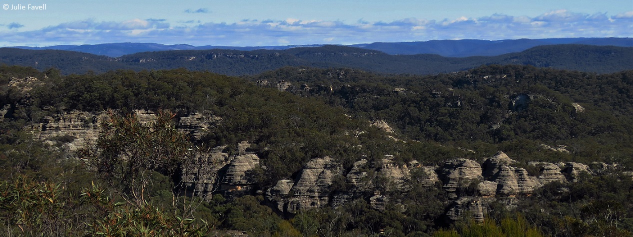  GoS SCA aka Wolgan SF