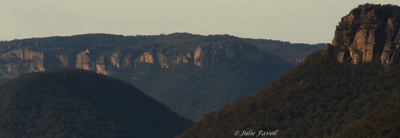 GoS SCA looking across GoS NP