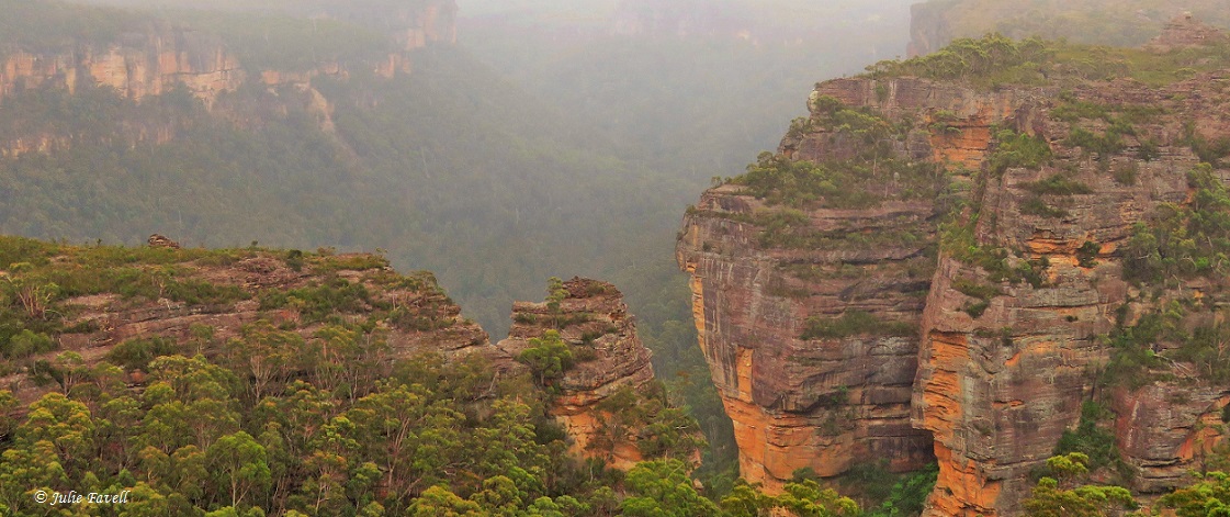  Grose Valley Dalpura Ridge 2016