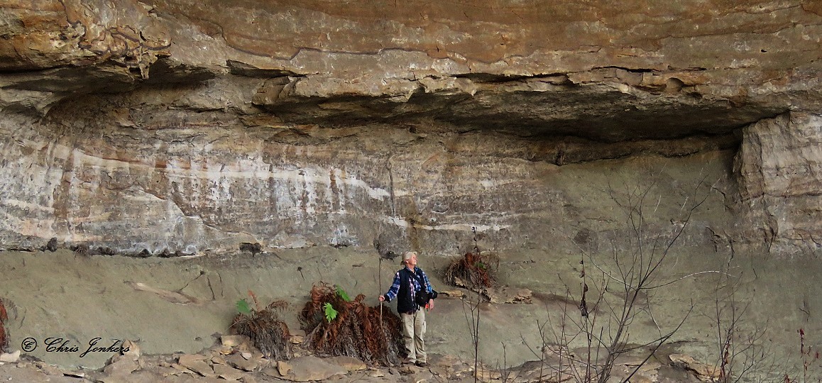  Gully below Dobbs Drift