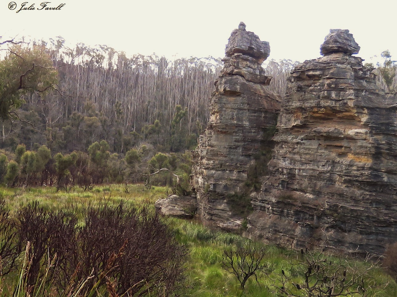 Headwaters Marrangaroo Swamp System GoS SCA aka Newnes SF