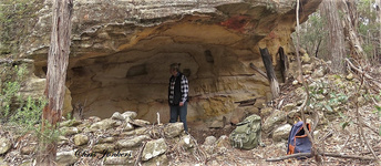 Coach Track Wollemi NP