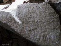 Teeth marks in calcite rock