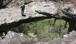Dargans Arch - December 2013