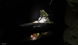 Glow Worm Tunnels River Cave