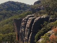 GoS SCA aka  Wolgan SF