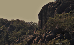 GoS SCA aka  Wolgan SF