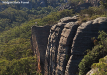 GoS SCA aka  Wolgan SF