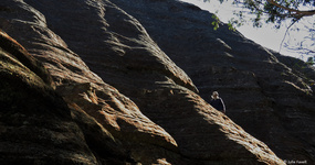 GoS SCA aka Wolgan SF