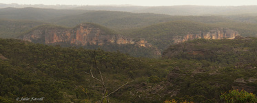 Grose Valley Dalpura Ridge