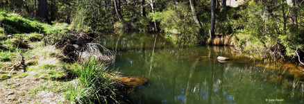 Hartley Valley River Lett