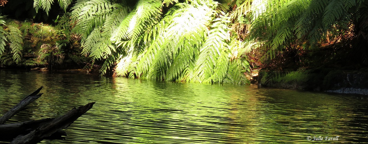 Pool of Diana GoS SCA aka NSF