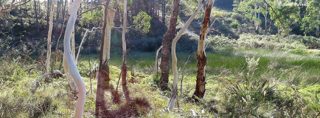 Pagoda ironstone and sandstone formation above Invincible Open Cut Mine GoS SCA aka BBSF
