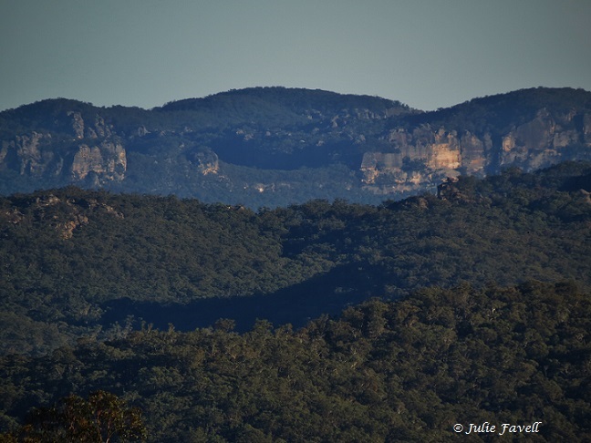 Invincible Trail Western part of GoS SCA aka BBSF Pagoda formations above Invincible Open Cut Mine Cullen Bullen