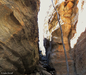 Slot to get to Cullen Trigg GoS SCA aka BBSF