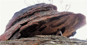 Invincible Trail Western part of GoS SCA aka BBSF Pagoda formations above Invincible Open Cut Mine Cullen Bullen