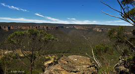 Overlooking Wolgan Valley and Newnes Plateau GoS SCA aka BBSF