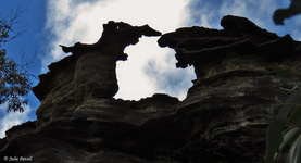 Pagoda formations, northern Lost City Marrangaroo Creek Headwaters TEC. NOTE underground mining below.