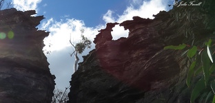 Pagoda formations, northern Lost City Marrangaroo Creek Headwaters TEC. NOTE underground mining below.