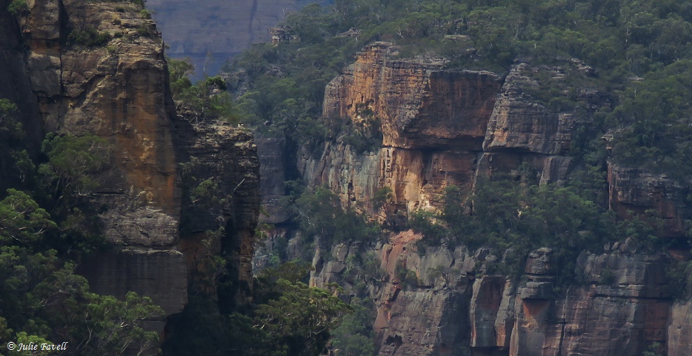 Pipeline Track Wollemi NP