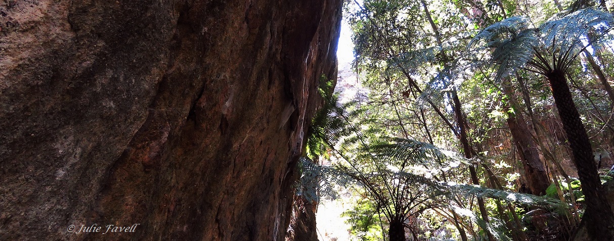 Small gully escarpment GoS SCA off Bicentennial Trail