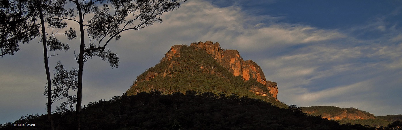 Mystery Mountain Newnes Wollemi NP