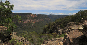 Pipeline Track Wollemi NP