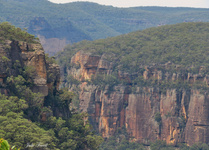 Pipeline Track Wollemi NP