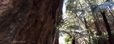Small gully escarpment GoS SCA off Bicentennial Trail